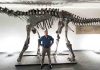 Moabosaurus discovered in Utah’s ‘gold mine’