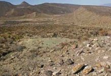 New indications of gradual decline of dinosaurs before the end of the cretaceous period