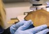 Radiocarbon dating gets a postmodern makeover