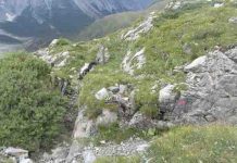 Rock exposed in World War I trenches offers new fossil find