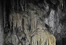 Stalagmites store paleoclimate data