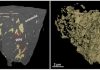 The formation of gold deposits in South Africa