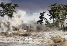 How water in the deep Earth triggers earthquakes and tsunamis