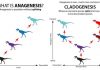 Tyrannosaurs show their sensitive side