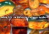 Amber Colors : What Are the Different Colors of Amber?
