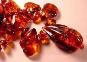 Amber Colors : What the Different Colors Amber? | Geology Page
