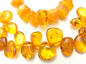 Types of Amber With Photos - Geology In