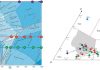 A new interpretation of petrogenesis of Earth’s early continental crust