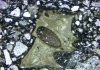 Ancient meteorite impact sparked long-lived volcanic eruptions on Earth