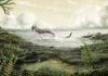 Antibiotic-resistant microbes date back to 450 million years ago, well before the age of dinosaurs