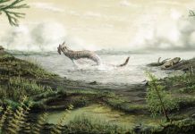 Antibiotic-resistant microbes date back to 450 million years ago, well before the age of dinosaurs