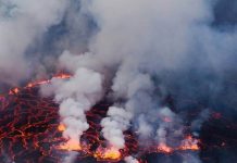 Battered Earth revived by mineral weathering after mass extinction