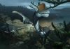 Earliest relative of Brachiosaurus dinosaur found in France