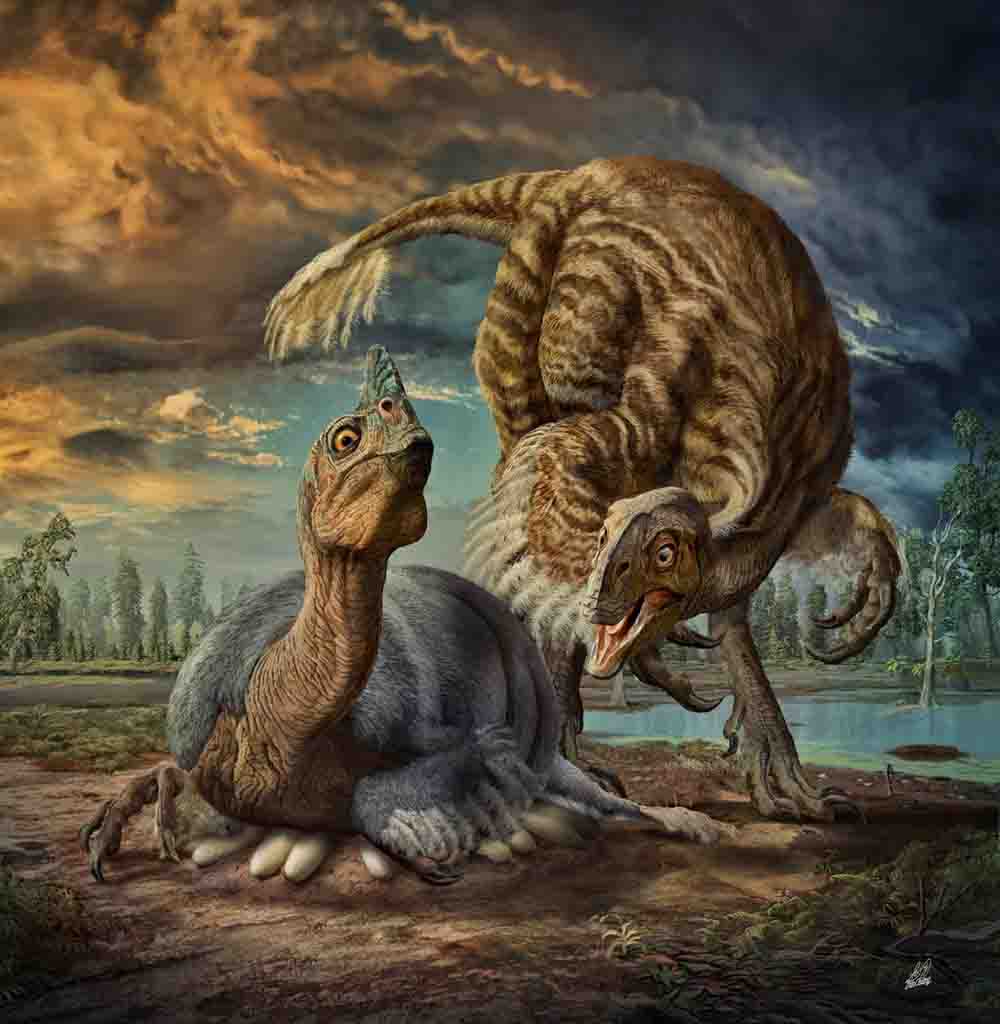 dinosaur first
