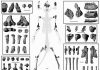 Fossil skeleton confirms earliest primates were tree dwellers