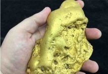 Giant Gold Nugget Found in California Giant gold nugget found in California