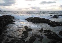 Jurassic drop in ocean oxygen lasted a million years