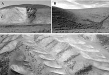 Landscape-scale erosion instabilities in the northern Gabilan Mesa, California