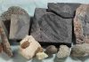 Large volcanic eruption may have caused the first mass extinction