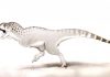 ‘Last African dinosaur’ discovered in Moroccan mine