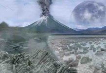 New insights into the ancestors of all complex life