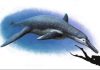 New species of bus-sized fossil marine reptile unearthed in Russia