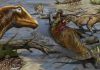 New species of dinosaur increases the already unexpected diversity of ‘whiplash dinosaurs’