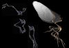 Paleontologists learning more about dinosaurs with virtual reality