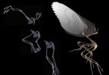 Paleontologists learning more about dinosaurs with virtual reality