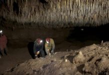 Research in Russia challenges widely held understanding of past climate history
