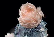 Rose-like Calcite With Rose Color