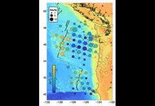 The birth and death of a tectonic plate