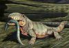 Warm-bloodedness possibly much older than previously thought