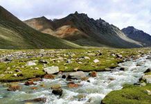 Weathering of rocks a poor regulator of global temperatures