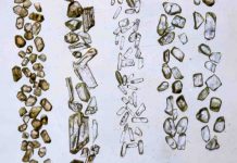 What Earth was like 4.4 billion years ago?