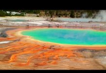 Yellowstone – Land to Life