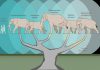 Genetic study shakes up the elephant family tree