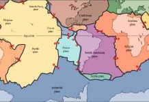 Geology and biology agree on Pangaea supercontinent breakup dates