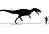 New data for old bones: How the famous Cleveland-Lloyd dinosaur bone bed came to be