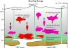 Origins of Cu-Pb-Zn-bearing and W-bearing granites
