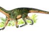 Paleobiologists make intriguing new discoveries about dinosaur ancestors