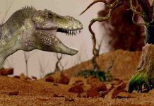 Volcanic eruptions triggered dawn of the dinosaurs