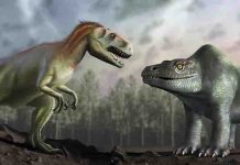 World’s ‘first named dinosaur’ reveals new teeth with scanning tech