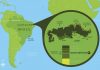 World’s oldest fossil mushroom found