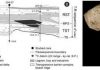 Ancient Italian fossils reveal risk of parasitic infections due to climate change