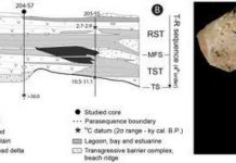 Ancient Italian fossils reveal risk of parasitic infections due to climate change