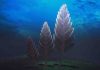Big, shape-shifting animals from the dawn of time