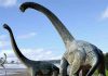 Dinosaur find in outback Queensland