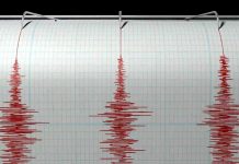Earthquake physics on multiple scales