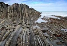 Flysch Formation